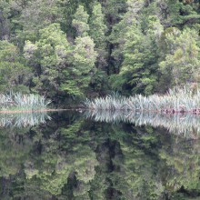 Lake Matheson, NZ, Neuseeland